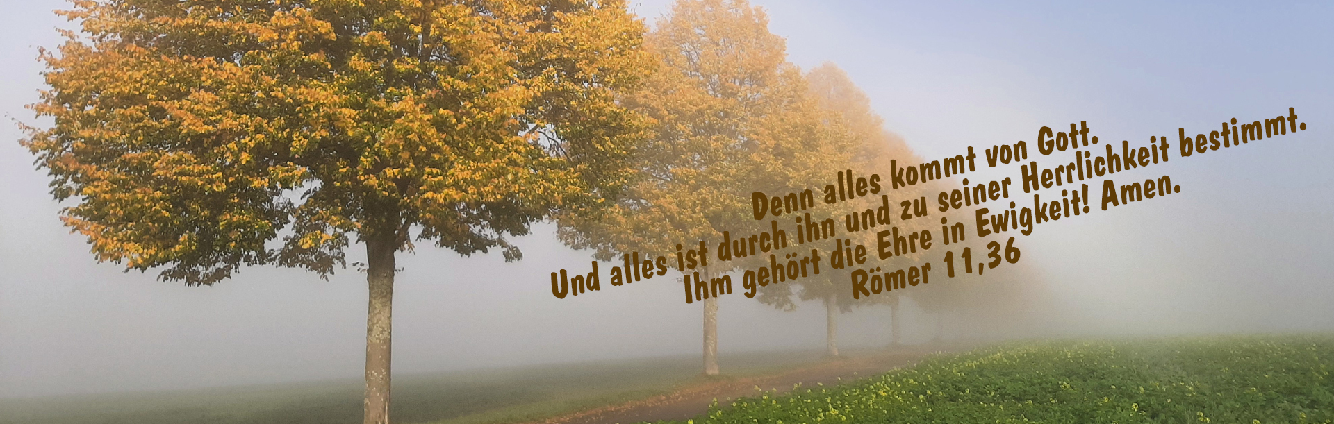 Header-2026_10_1