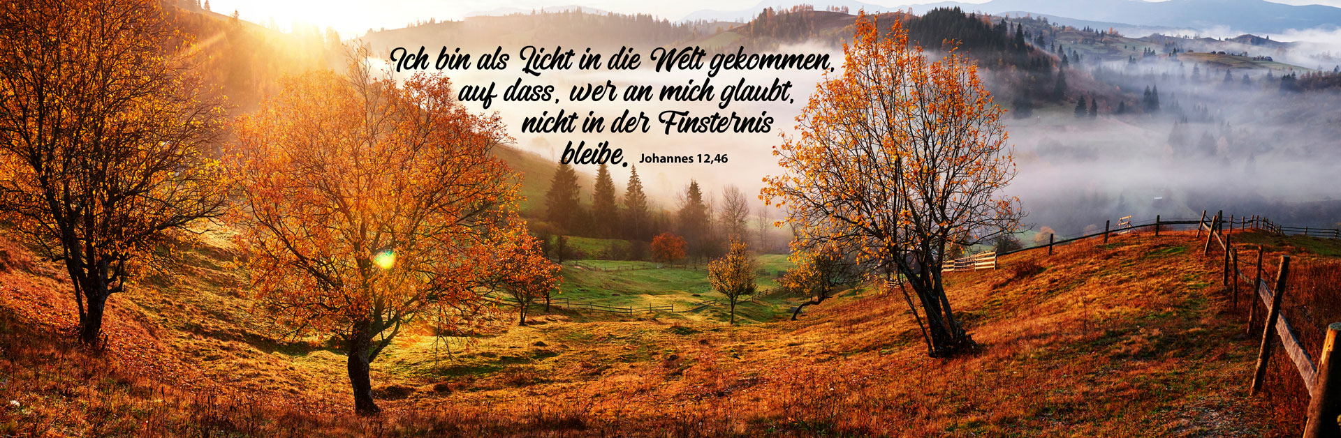 Herbst-Header-2025