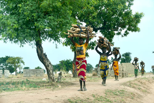 Lasten tragen Foto: Albrecht Ebertshäuser
